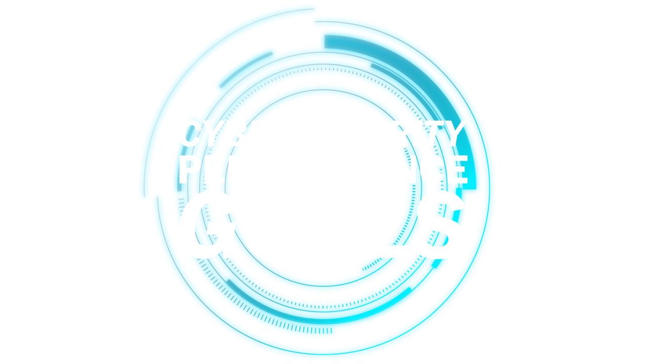 Graphic that says Cybersecurity Performance Goals